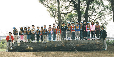 2004big_tree