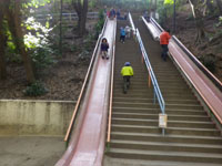 2013-01-06-2bv