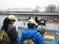 2013-01-13-2bs