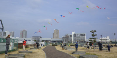 2013-01-20-0bv