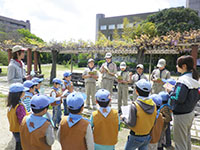 2013-04-21-2bv