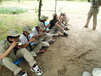  2013-06-02-1bs