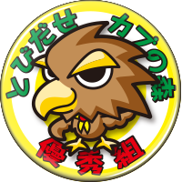 2013kite
