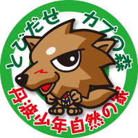 2013wolf