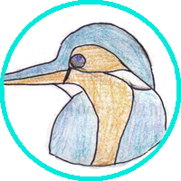 kingfisher.png